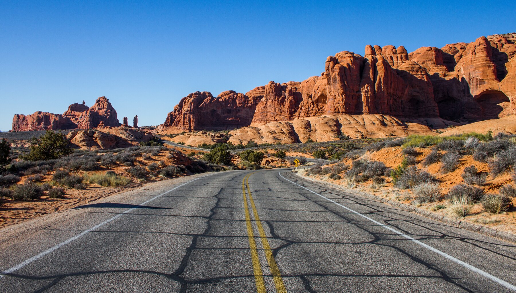 Desert Road Trip