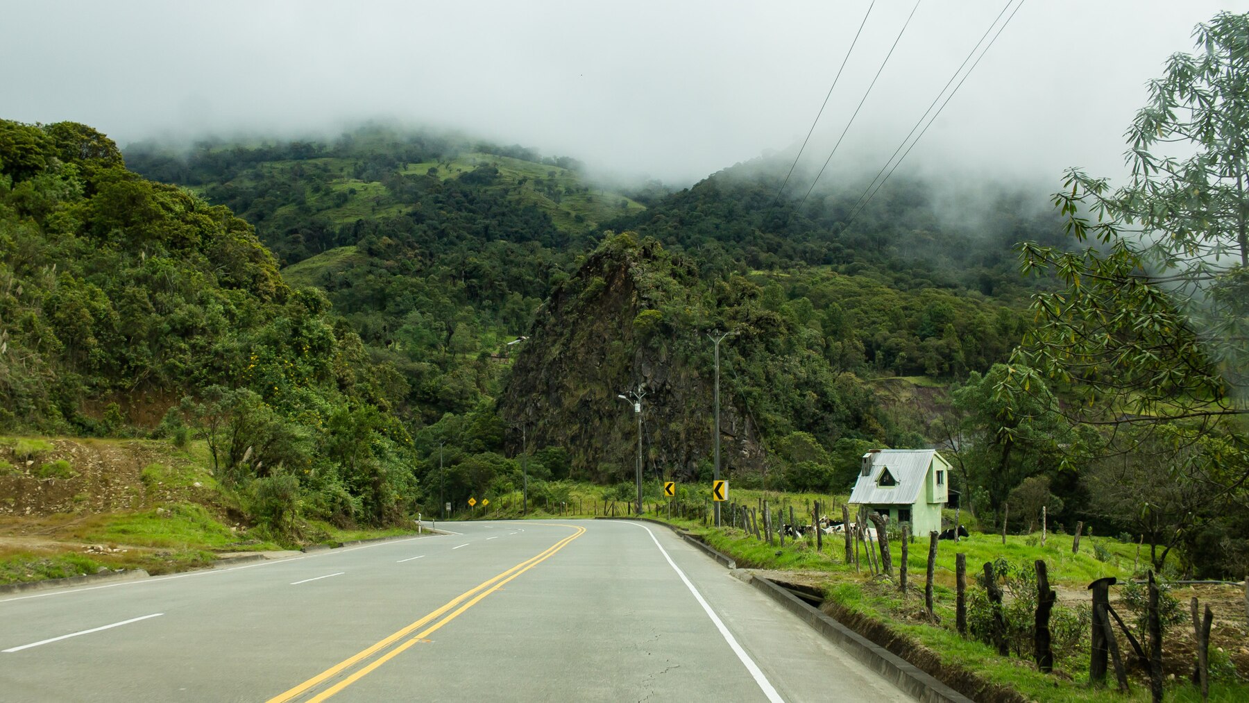 Nilgiri Hills Road Trip